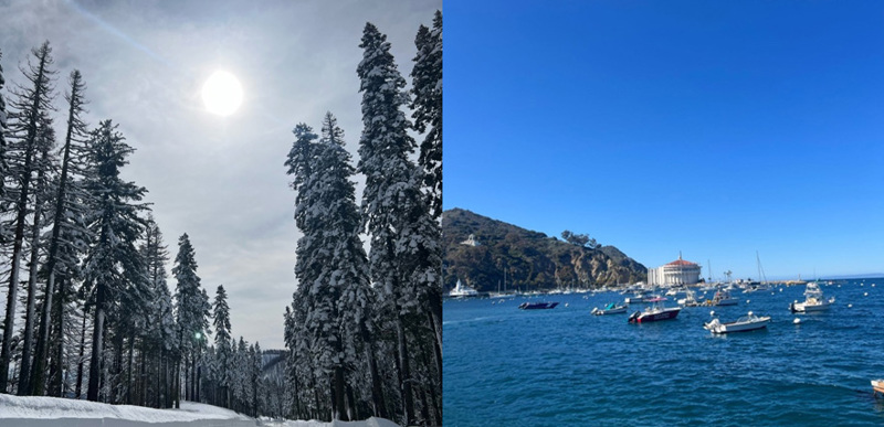 A collage of two images: A snowy, tree-lined road in Canada, and a sunny seaside marina.