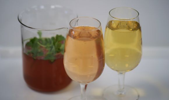 One glass with peach liquid, one glass with yellow liquid and one beaker behind with dark red liquid with coriander leave on top
