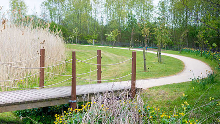 View of a footpath in Queen Margaret University Campus surrounded by trees