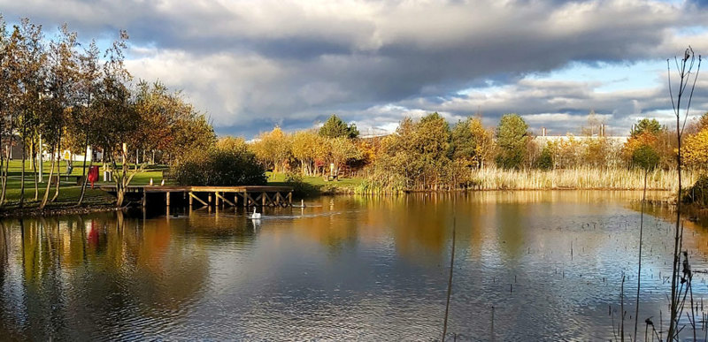 The large SUDS pond on QMU campus.