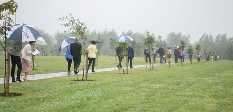 A group of people holding umbrellas walk alongside newly planted trees on the QMU campus