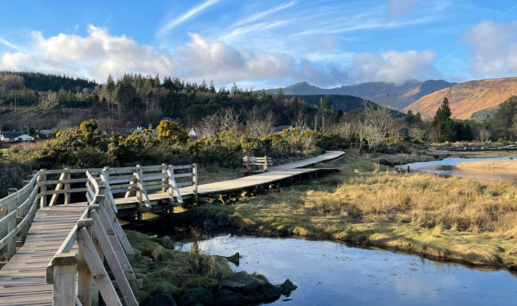 A photo of a wooden bridge that extends alongside and over a small pond