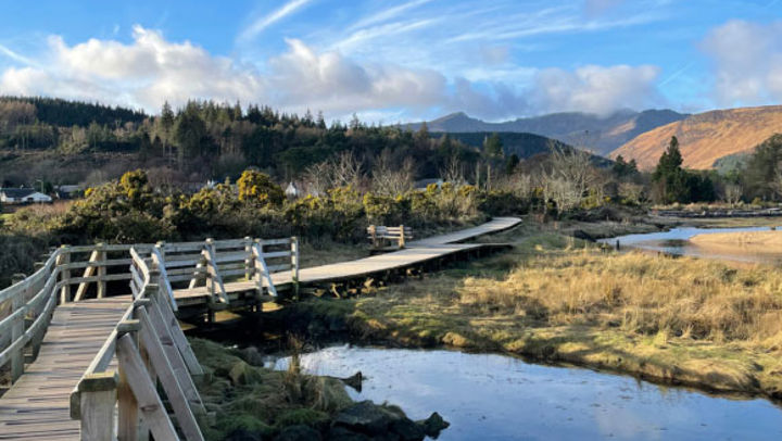 A photo of a wooden bridge that extends alongside and over a small pond