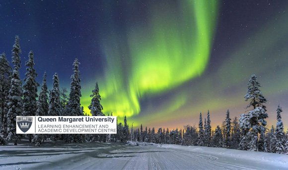 A view of an aurora borealis in the sky above a wintery landscape. The LEAD logo sits to the left of the image.