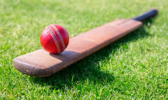 Cricket bat and ball