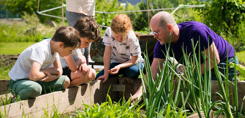 A man showing a group of children the vegetables planted in an allotment patch.