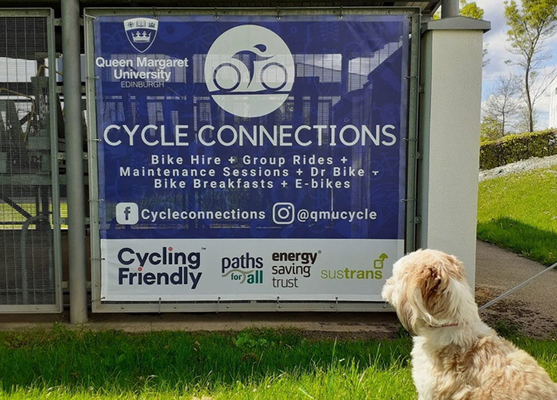 A small beige and cream coloured dog sits beside a sign reading "Cycle Connections".